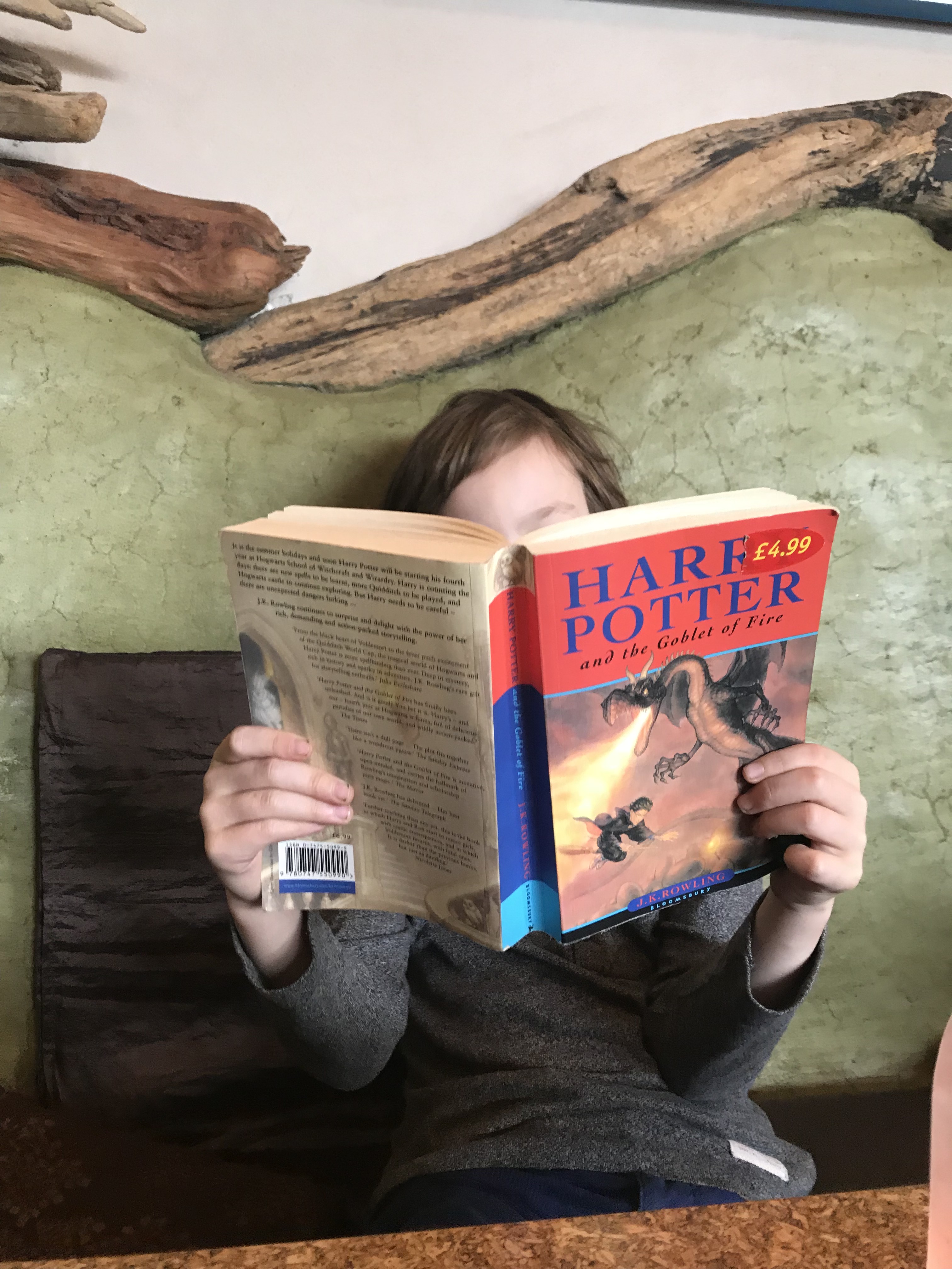 A child absorbed in reading a book